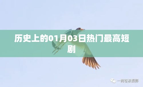 1月3日歷史熱門短劇盤點(diǎn)