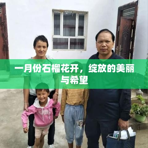 一月份石榴花開，希望與美麗的綻放