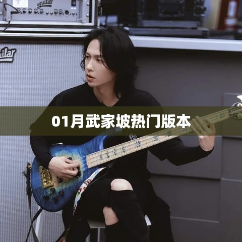 武家坡熱門(mén)版本一覽（精選推薦）