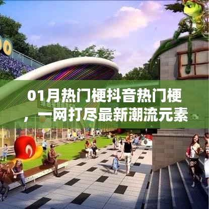 抖音熱門梗大揭秘，最新潮流一網(wǎng)打盡