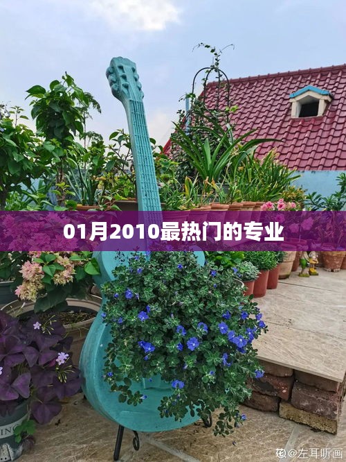 2010年一月熱門專業(yè)盤點