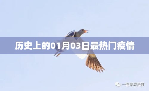 疫情熱點回顧，歷史上的重要時刻——一月三日
