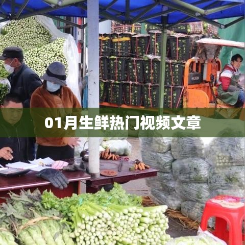 生鮮熱門視頻盤點(diǎn)，一月精選文章