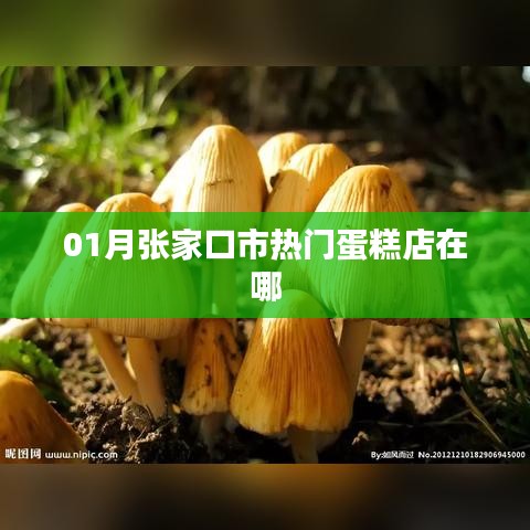 張家口一月熱門蛋糕店推薦