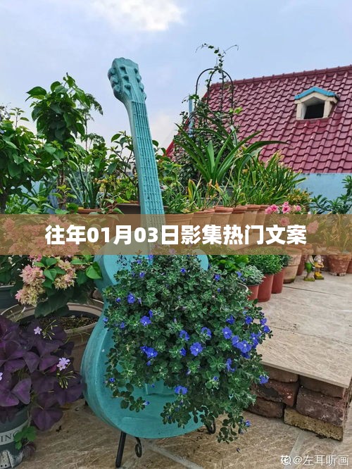 熱門影集回顧，歷年一月三日精選瞬間