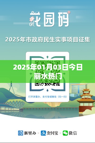 麗水熱門資訊，2025年1月3日時事熱點