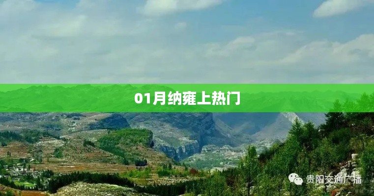 納雍熱點(diǎn)聚焦，一月份熱議話題揭秘