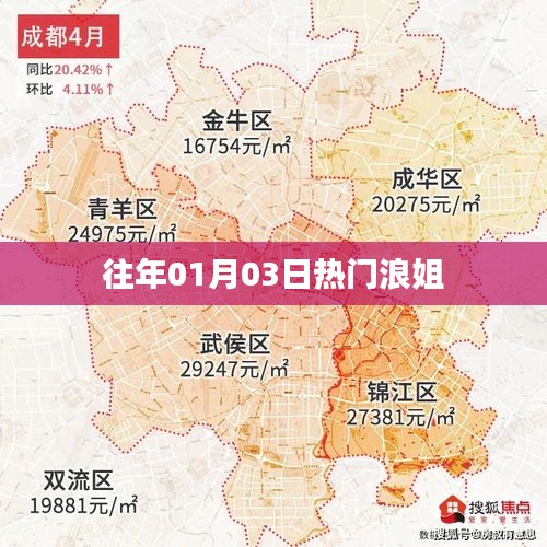 浪姐歷年元旦熱門(mén)回顧，精彩瞬間一網(wǎng)打盡！