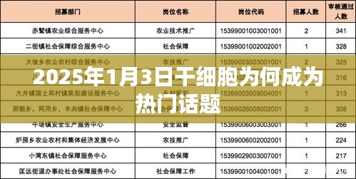 干細(xì)胞話題揭秘，為何它在未來備受矚目？