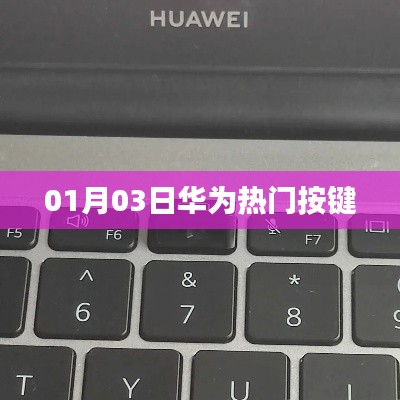 使用指南