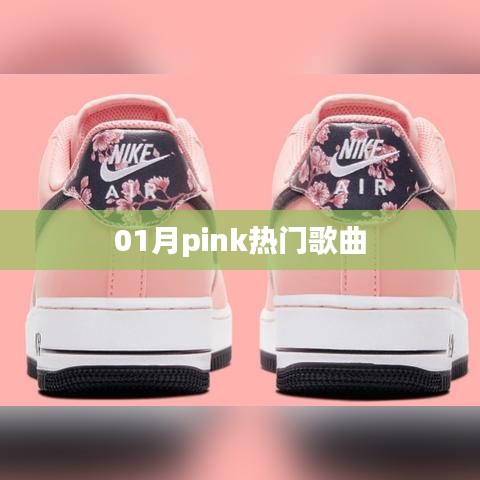 熱門Pink歌曲大盤點