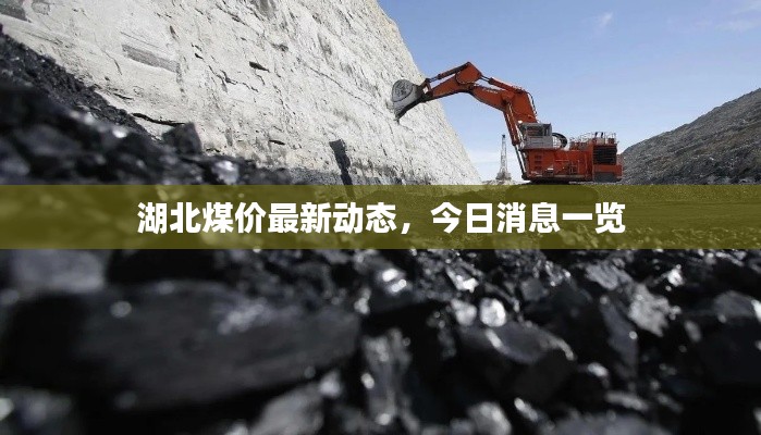 湖北煤價(jià)最新動(dòng)態(tài)，今日消息一覽