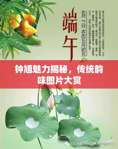 鐘馗魅力揭秘，傳統(tǒng)韻味圖片大賞