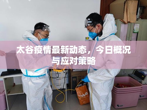 太谷疫情最新動態(tài)，今日概況與應(yīng)對策略