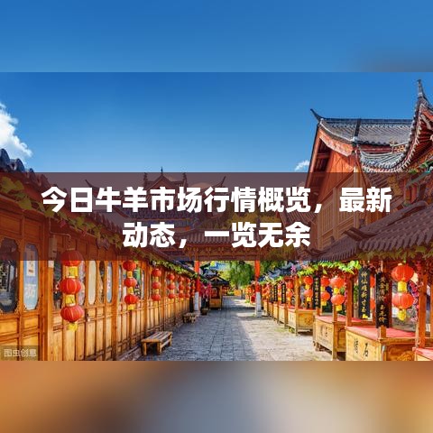 今日牛羊市場行情概覽，最新動態(tài)，一覽無余