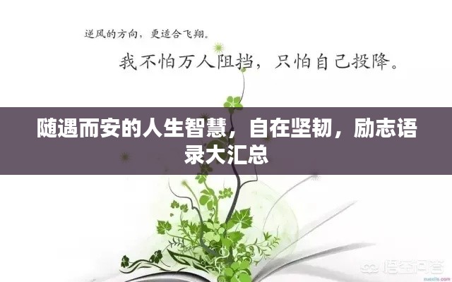 隨遇而安的人生智慧，自在堅韌，勵志語錄大匯總