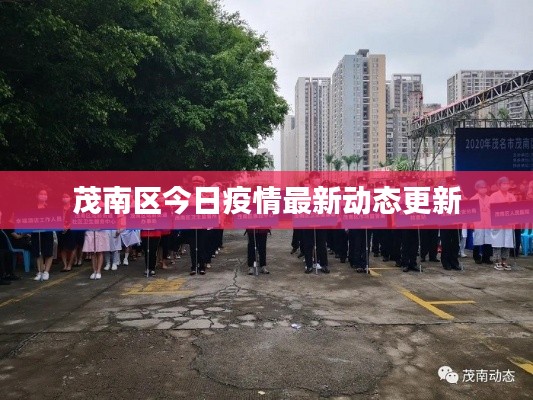 茂南區(qū)今日疫情最新動(dòng)態(tài)更新