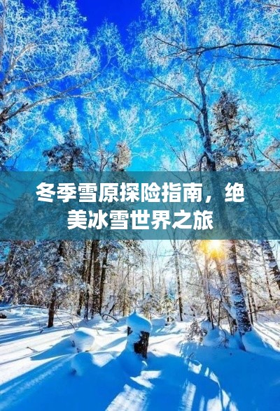 冬季雪原探險(xiǎn)指南，絕美冰雪世界之旅