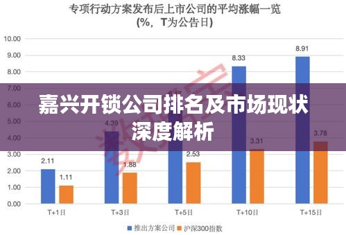 嘉興開(kāi)鎖公司排名及市場(chǎng)現(xiàn)狀深度解析