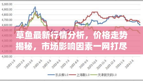 草魚最新行情分析，價(jià)格走勢(shì)揭秘，市場(chǎng)影響因素一網(wǎng)打盡！