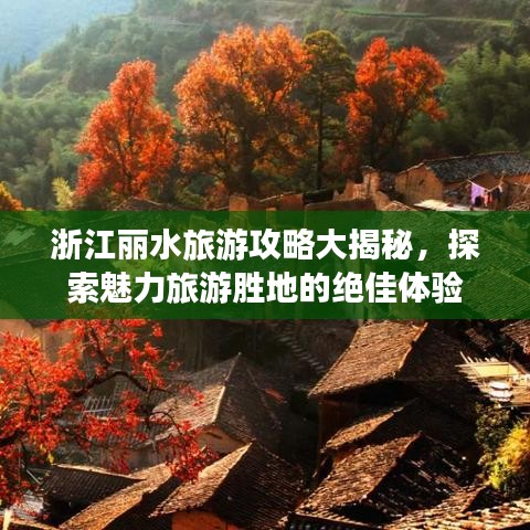 浙江麗水旅游攻略大揭秘，探索魅力旅游勝地的絕佳體驗(yàn)