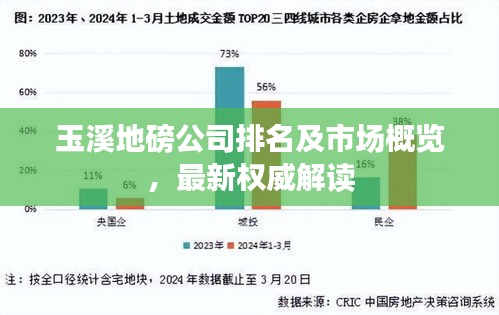 玉溪地磅公司排名及市場概覽，最新權(quán)威解讀