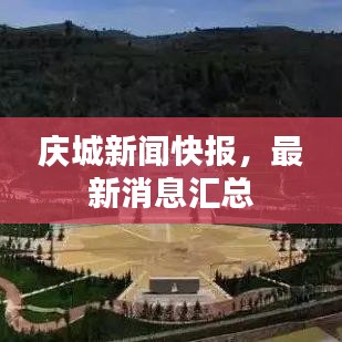 慶城新聞快報，最新消息匯總