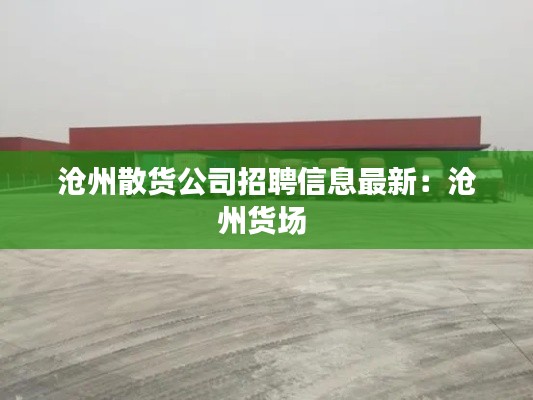 滄州散貨公司招聘信息最新：滄州貨場(chǎng) 
