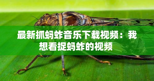 最新抓螞蚱音樂下載視頻：我想看捉螞蚱的視頻 