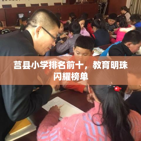 莒縣小學排名前十，教育明珠閃耀榜單
