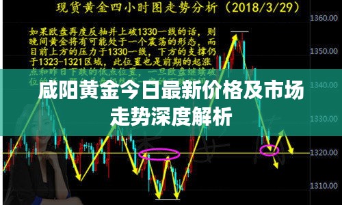咸陽黃金今日最新價(jià)格及市場走勢深度解析