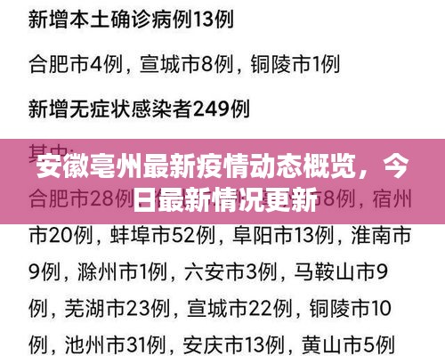 安徽亳州最新疫情動(dòng)態(tài)概覽，今日最新情況更新