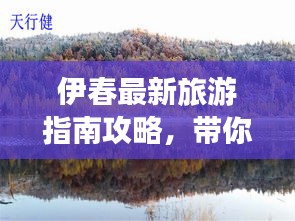 伊春最新旅游指南攻略，帶你暢游自然之美！