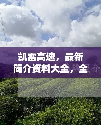 凱雷高速，最新簡介資料大全，全面了解這條重要通道！