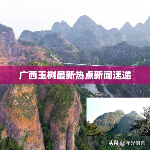 廣西玉樹最新熱點新聞速遞