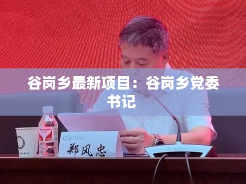 谷崗鄉(xiāng)最新項目：谷崗鄉(xiāng)黨委書記 