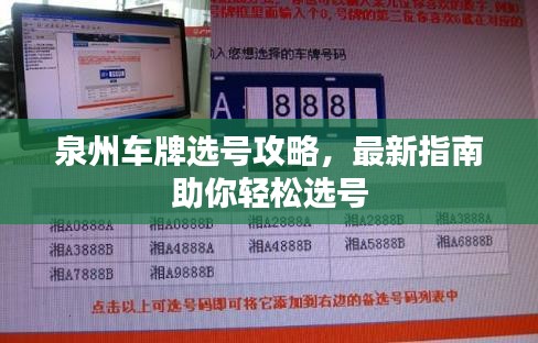 泉州車牌選號攻略，最新指南助你輕松選號