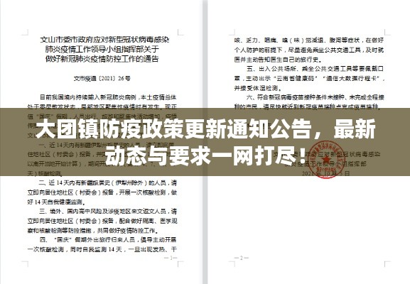 大團(tuán)鎮(zhèn)防疫政策更新通知公告，最新動態(tài)與要求一網(wǎng)打盡！