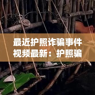 最近護(hù)照詐騙事件視頻最新：護(hù)照騙局去公安局一趟 