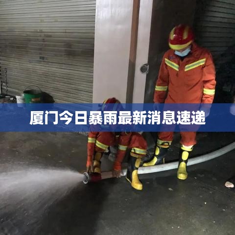 廈門今日暴雨最新消息速遞