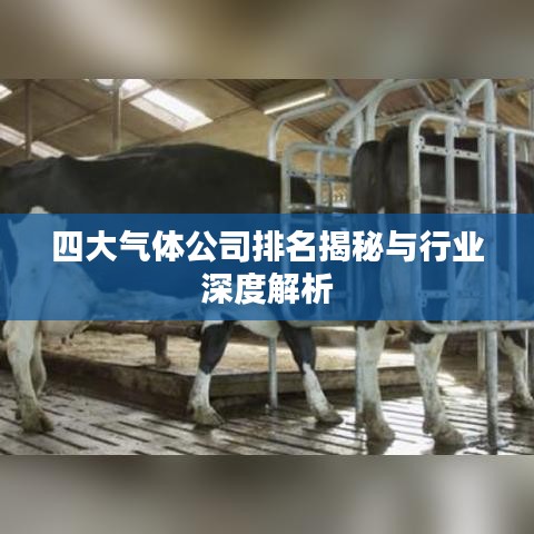 四大氣體公司排名揭秘與行業(yè)深度解析