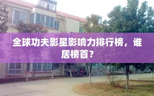 全球功夫影星影響力排行榜，誰居榜首？