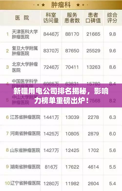 新疆用電公司排名揭秘，影響力榜單重磅出爐！