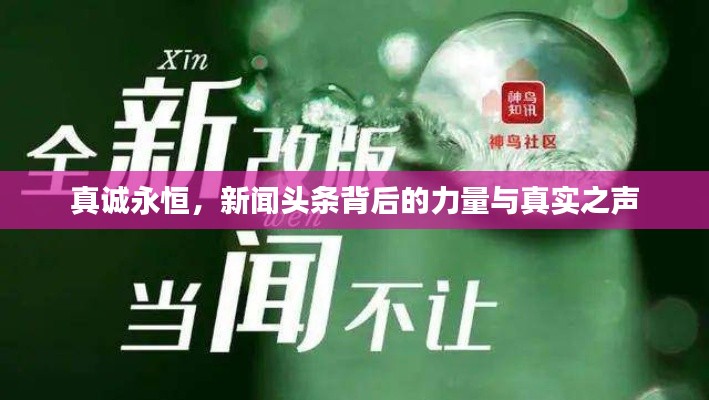 資料大全 第146頁