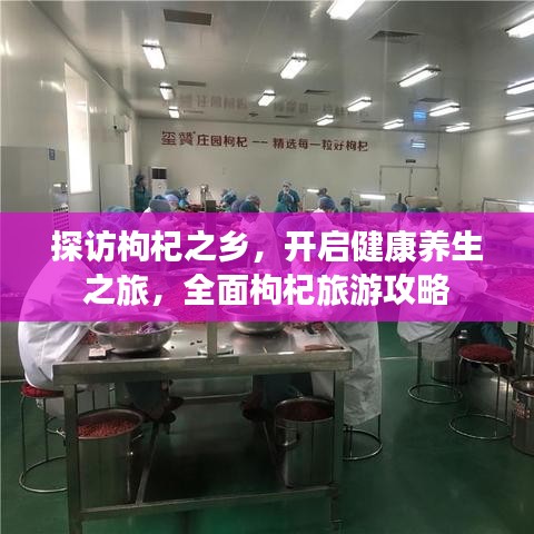 探訪枸杞之鄉(xiāng)，開啟健康養(yǎng)生之旅，全面枸杞旅游攻略
