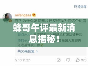 蜂哥午評(píng)最新消息揭秘！