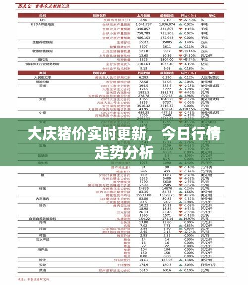 大慶豬價實時更新，今日行情走勢分析