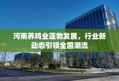 河南養(yǎng)雞業(yè)蓬勃發(fā)展，行業(yè)新動(dòng)態(tài)引領(lǐng)全國(guó)潮流