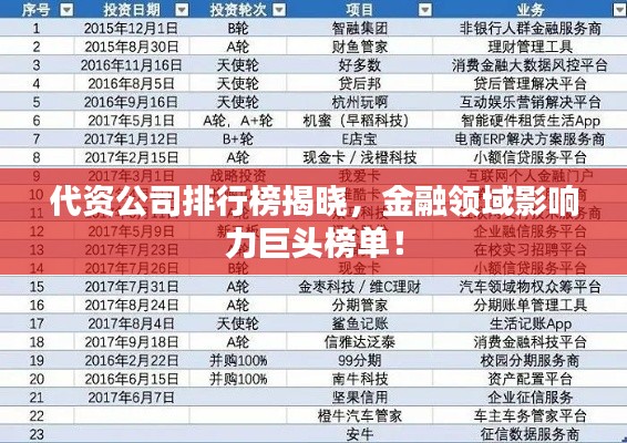 代資公司排行榜揭曉，金融領(lǐng)域影響力巨頭榜單！