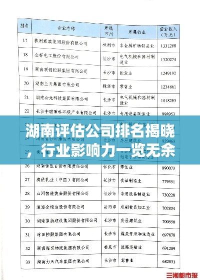 湖南評估公司排名揭曉，行業(yè)影響力一覽無余